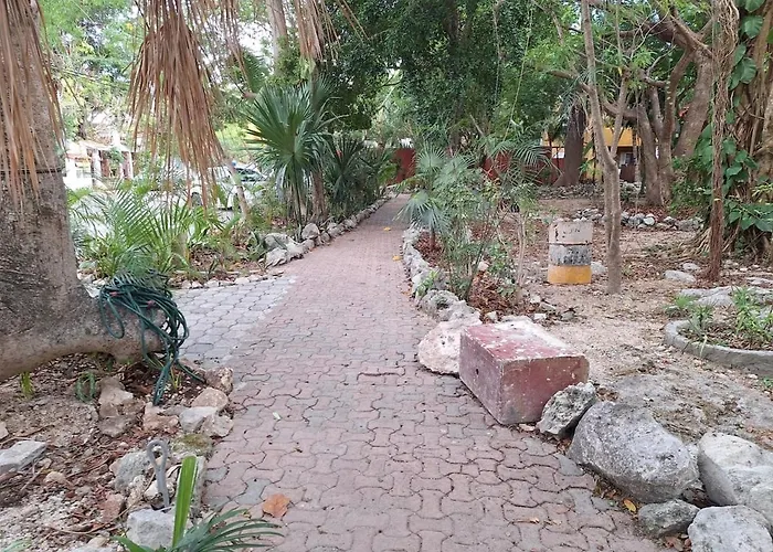 Independiente Y Centrica Playa del Carmen